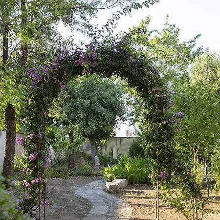 Palazzo Francesco Grassi Bed & Breakfast