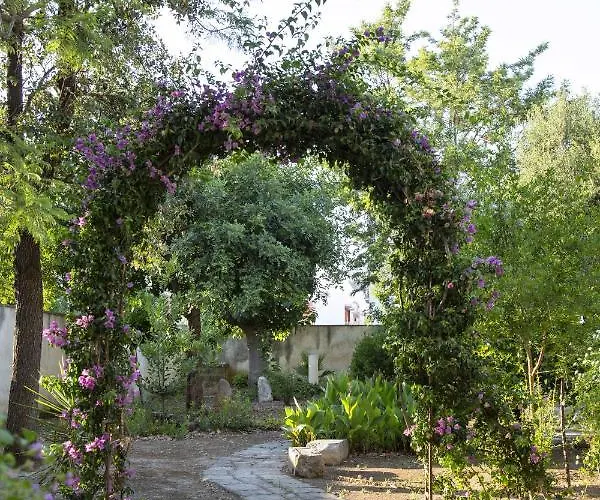 Palazzo Francesco Grassi Bed & Breakfast
